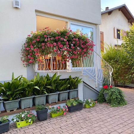 Appartement Le Jardin Lingolsheim Kültér fotó