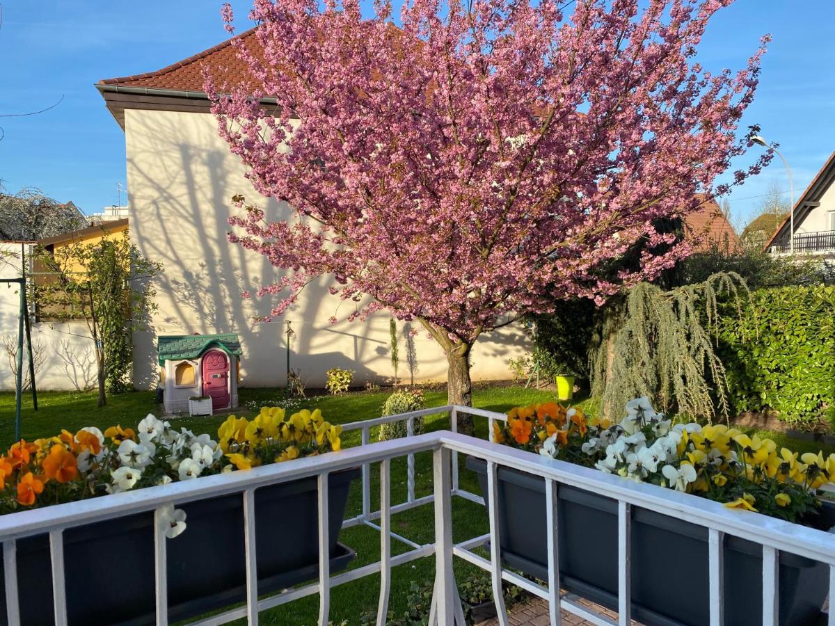 Appartement Le Jardin Lingolsheim Kültér fotó