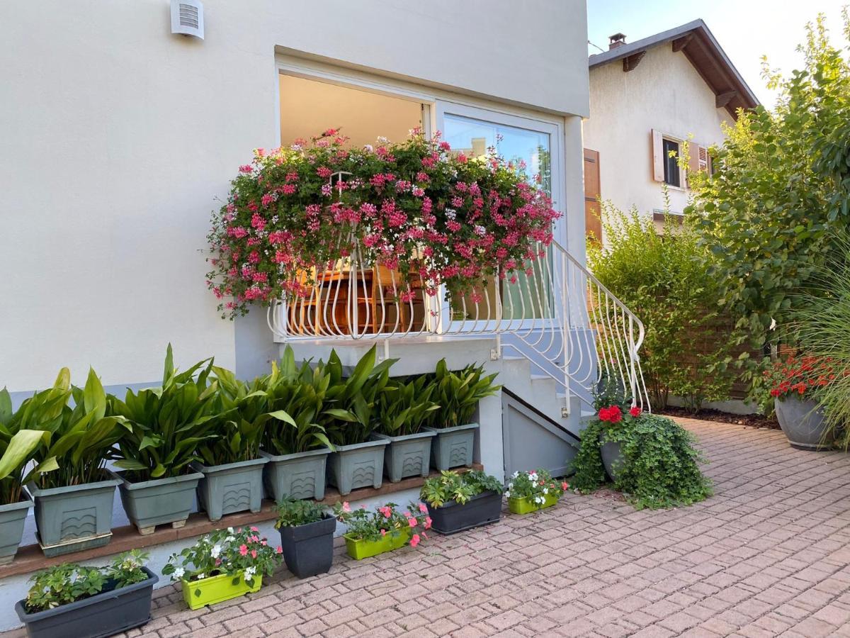 Appartement Le Jardin Lingolsheim Kültér fotó