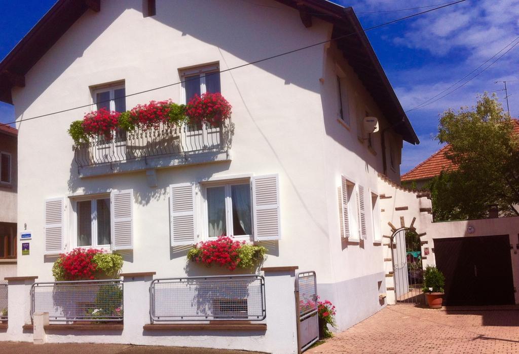 Appartement Le Jardin Lingolsheim Szoba fotó