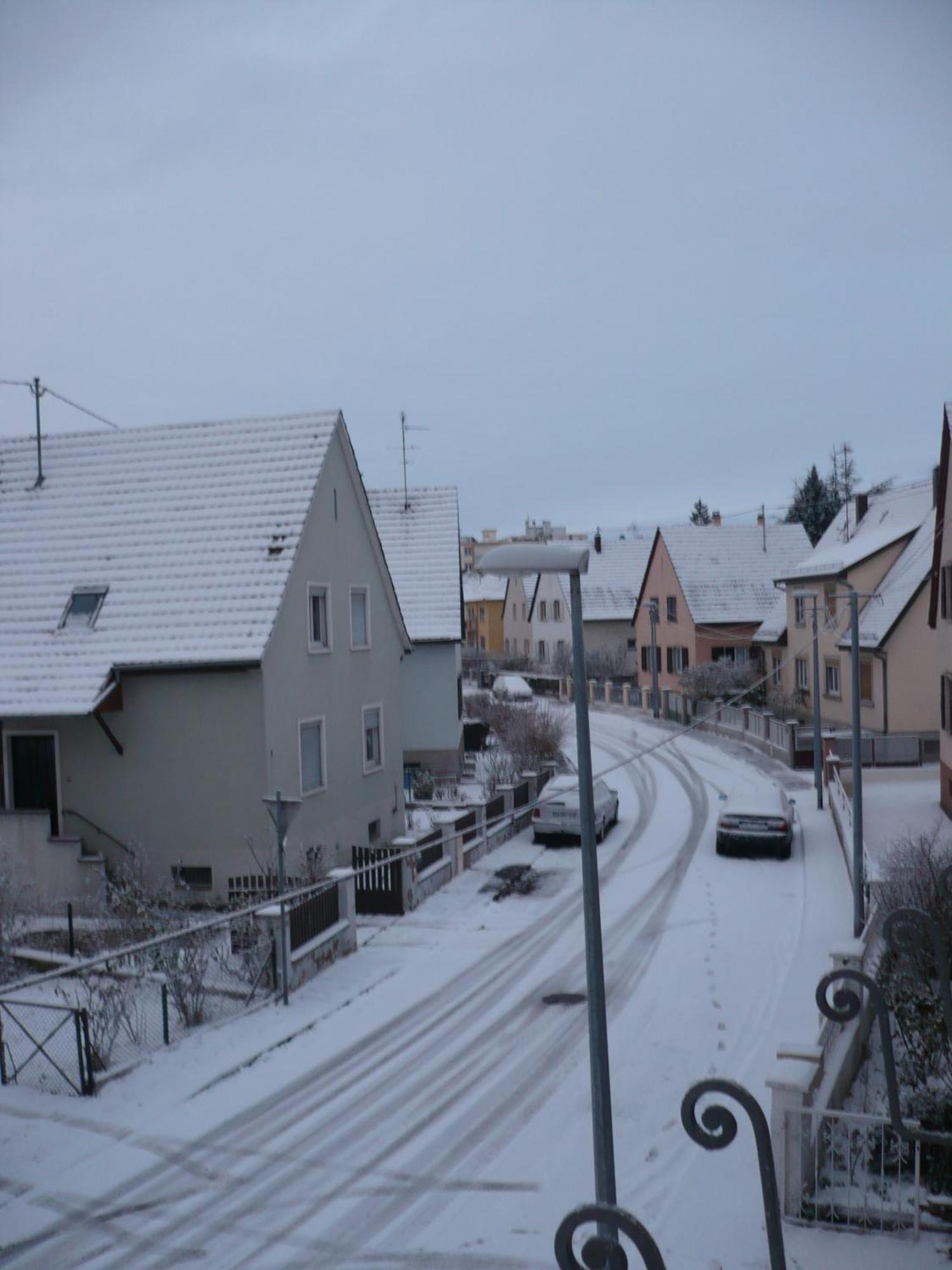 Appartement Le Jardin Lingolsheim Kültér fotó